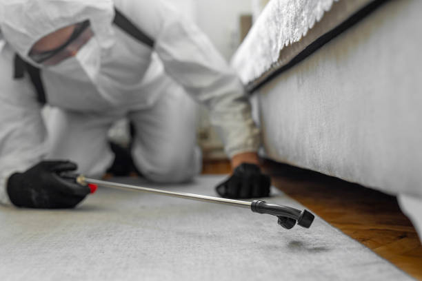 Professional Bed Bug Control technician working in St. Henry, OH
