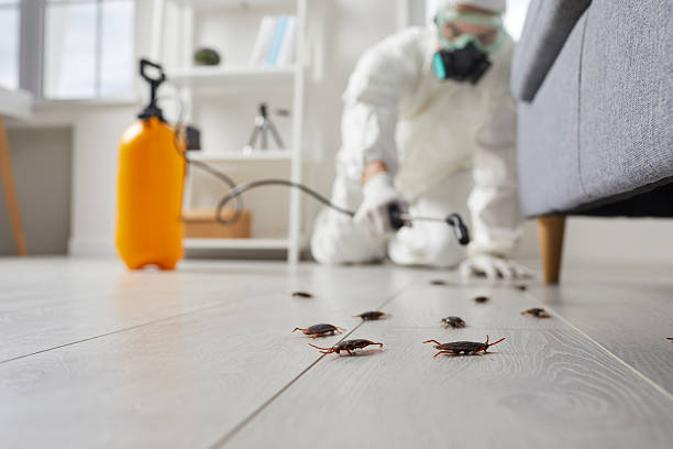 Trusted Termite Control service in St. Henry, OH - Nex Pest Control